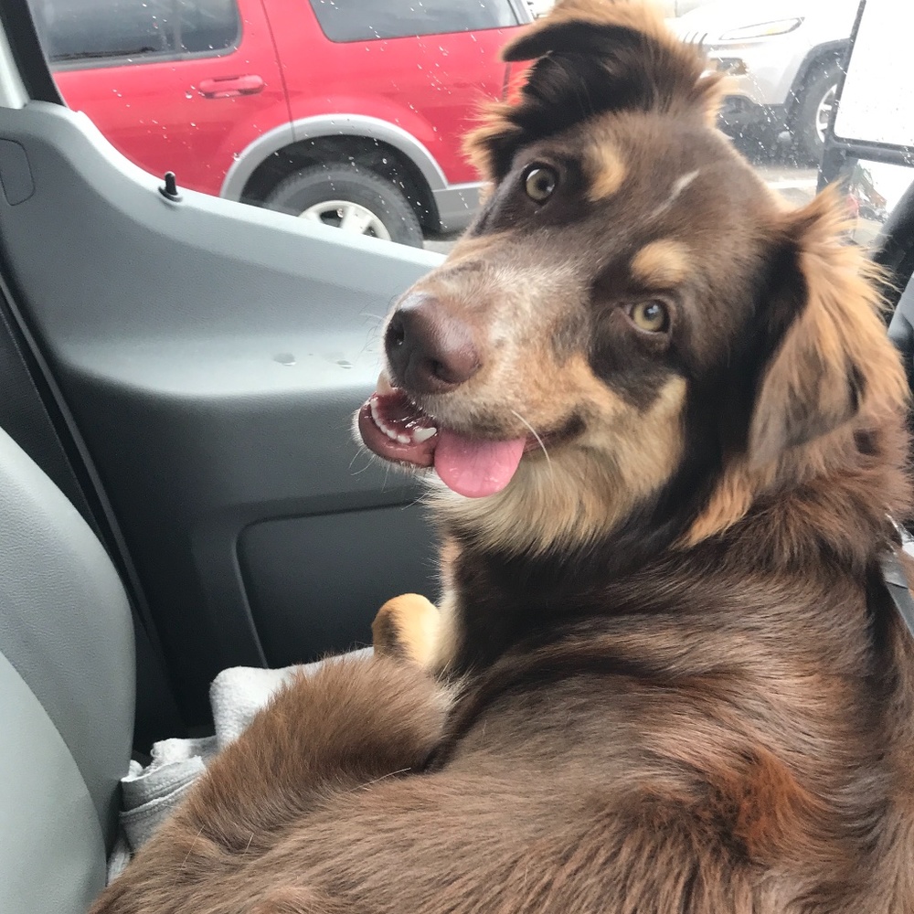 Meet your Posher, Mckayla